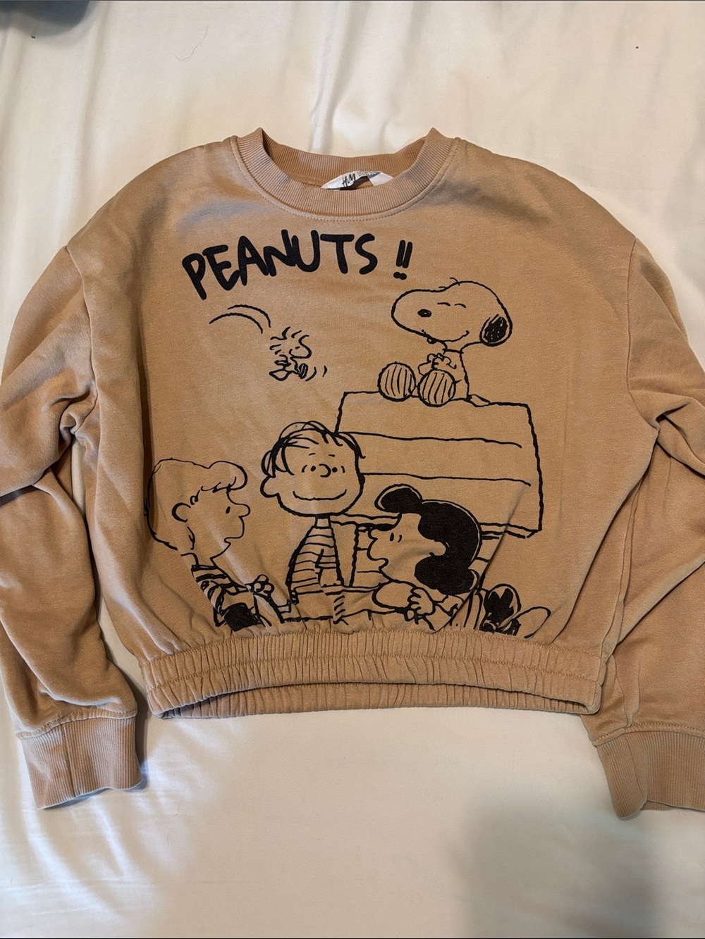 H&M Peanuts Graphic Cropped Sweatshirt in Tan
